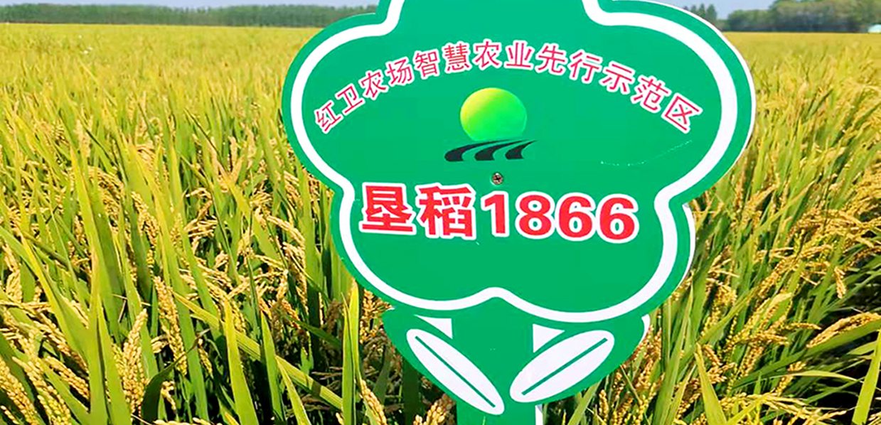 墾稻1866