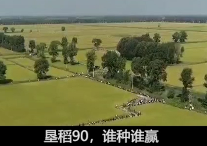 佳蓮種業(yè)宣傳視頻