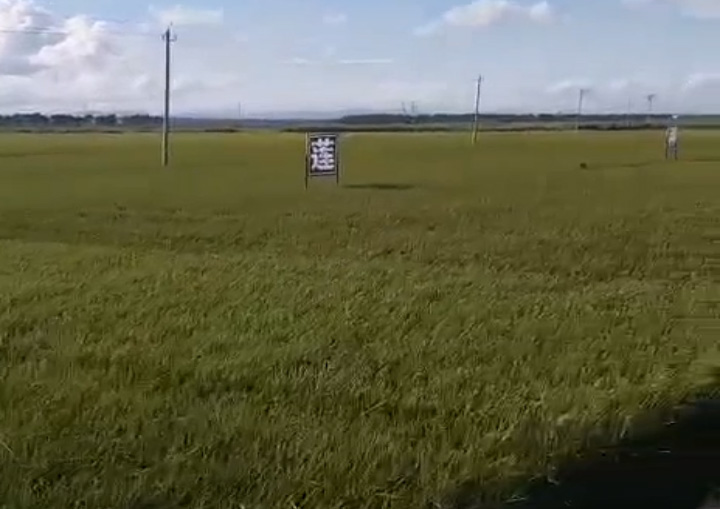 視頻展示